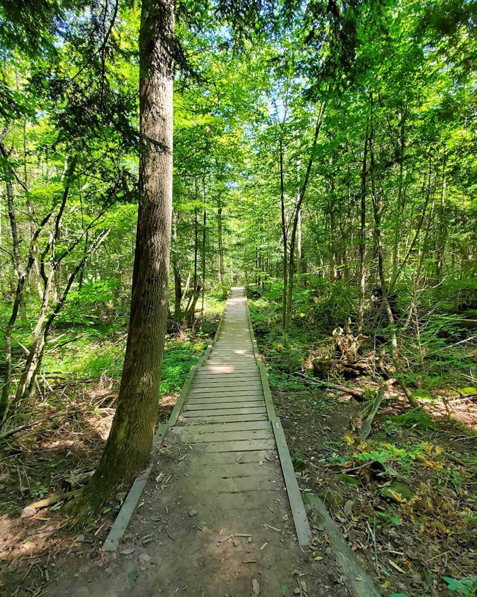 Flat trail through Rattlesnake Point Conservation Area