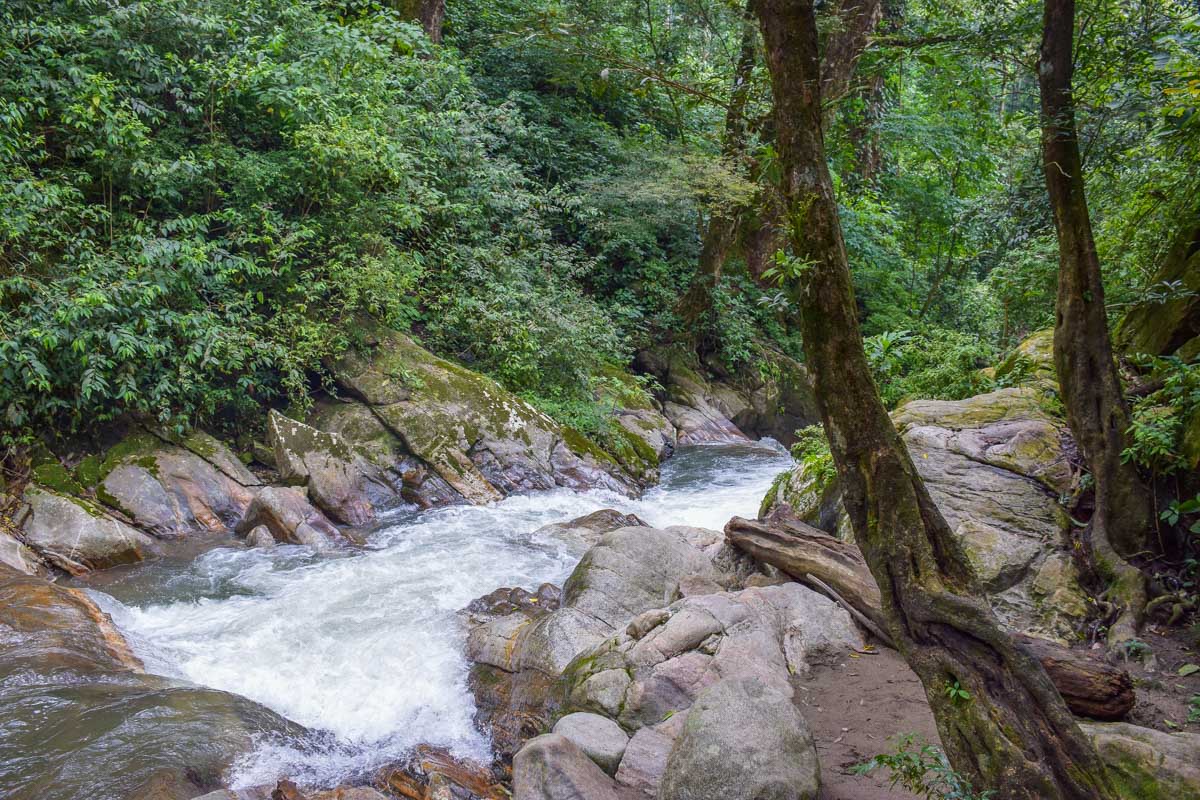 Pozo Azul in Minca Colombia