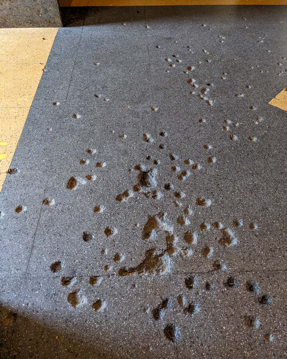 The cement floor at The Catholic Shrine of Saint Anthony with holes in it from the terrorist bombing of 2019 Colombo, Sri Lanka