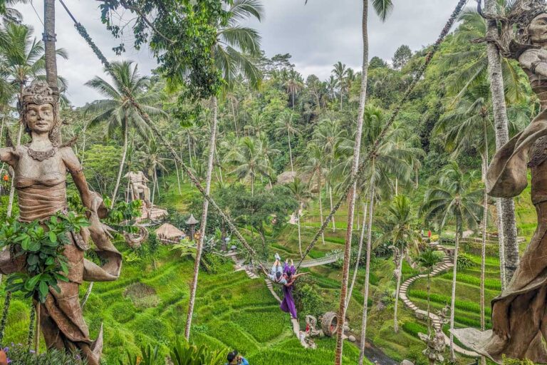 A lady on a swing over the rice fields in Ubud, Bali