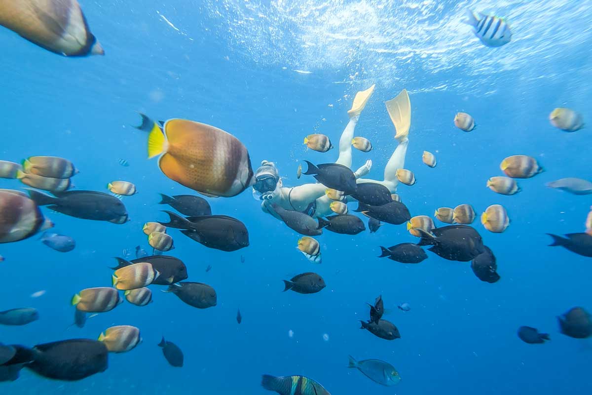 Bailey snorkeling at Blue Lagoon while surrounded by colorful fish