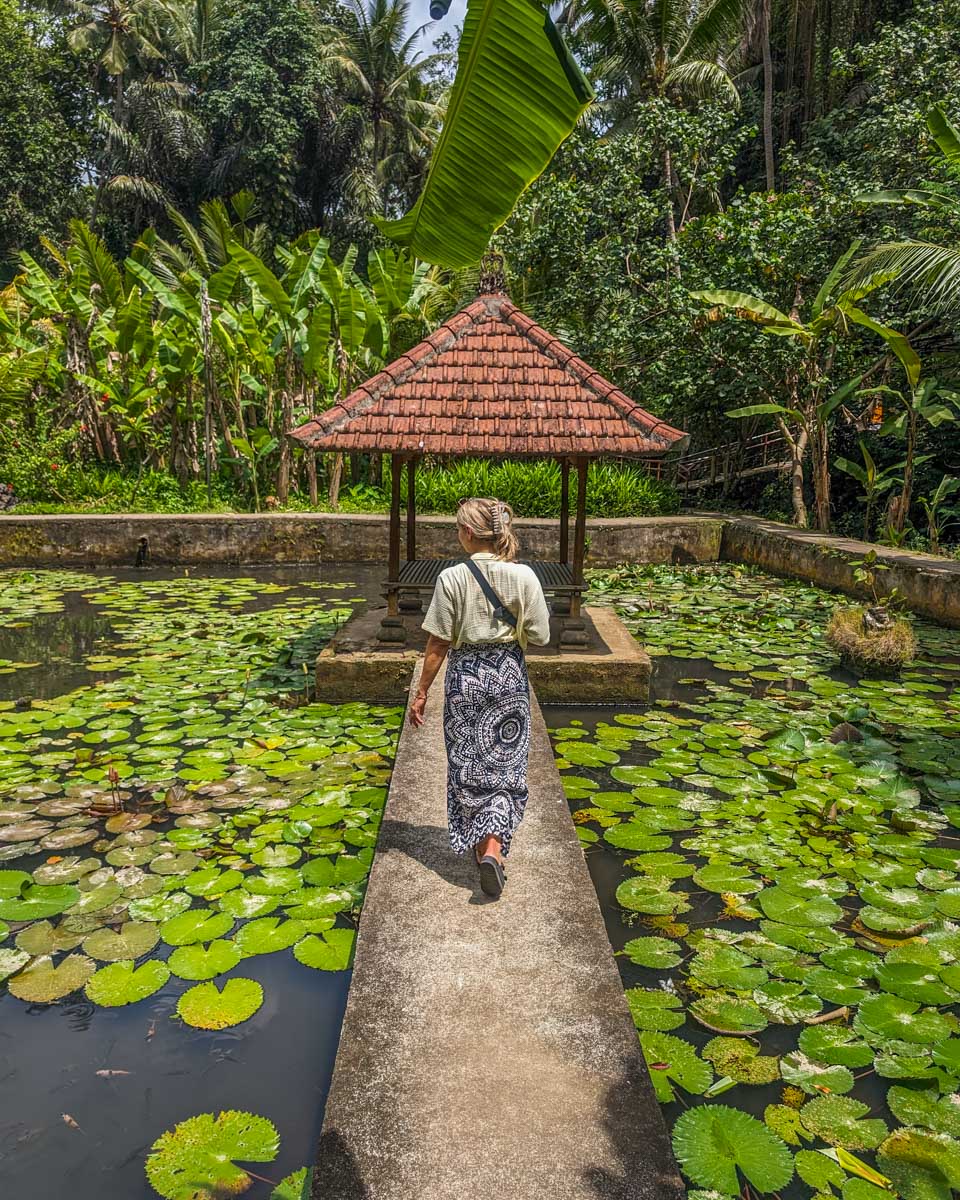 Bailey walks along a pathway beside a pond at Goa Gajah, Elephant Cave in Ubud, Bali