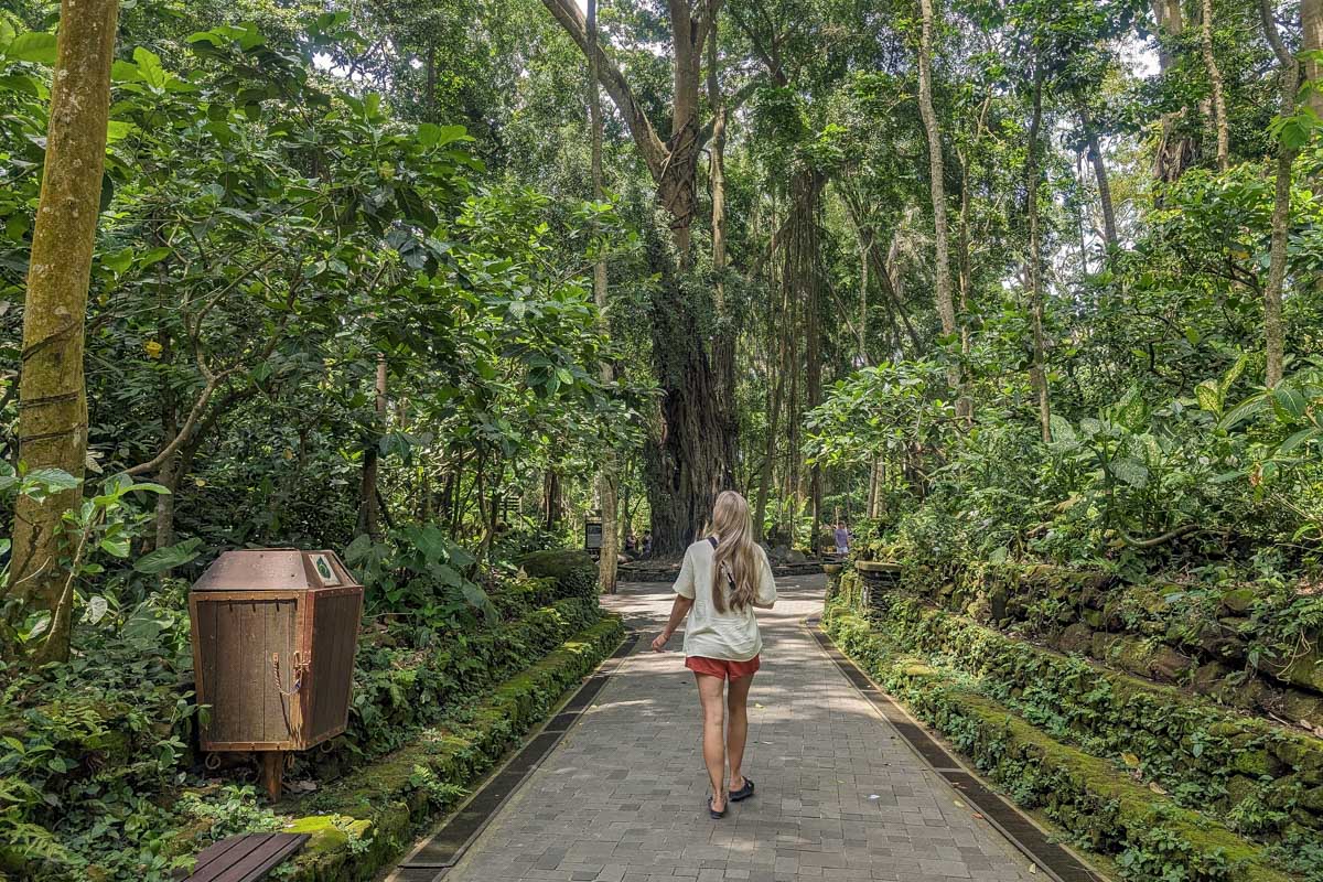 Bailey walks through the jungle of Ubud Monkey Forest Bali