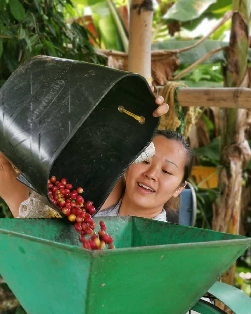 Coffee tour in Medellin