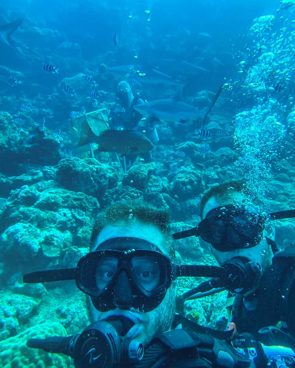 Daniel and another person take a selfie underwater during a shark dive fiji