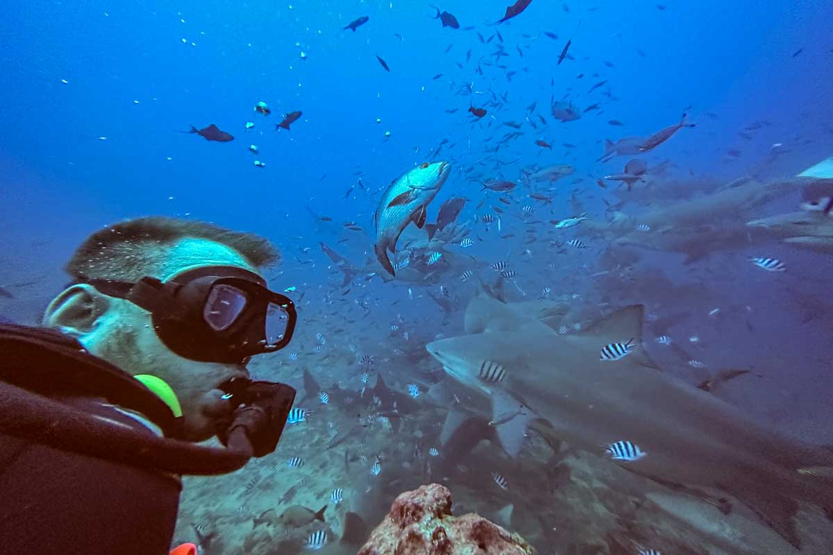 Daniel underwater watching a shark go by during a shark dive fiji