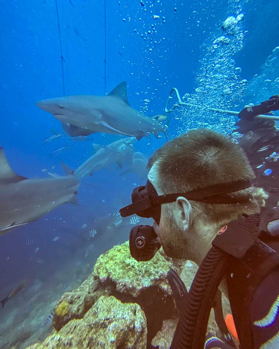 Daniel watches sharks during a shark dive fiji