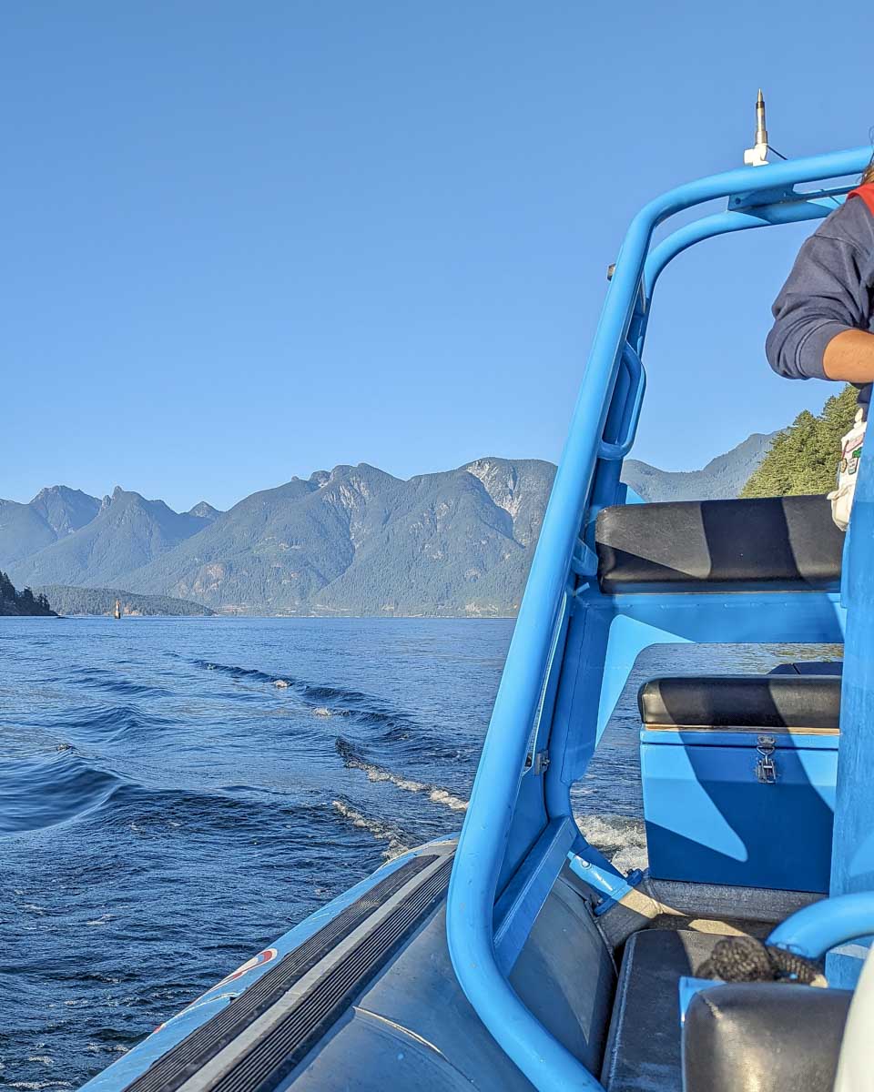 Looking at the mountains from the zodiac boat vancouver, canada