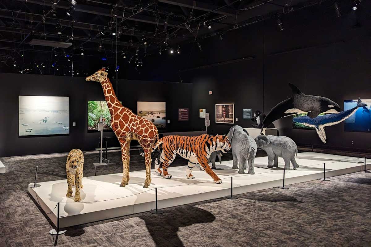 TELUS World of Science in Edmonton