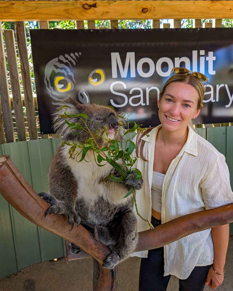 Bailey smiles with a koala at the moonlit sanctuary on phillip island during a go west penguin tour near melbourne australia