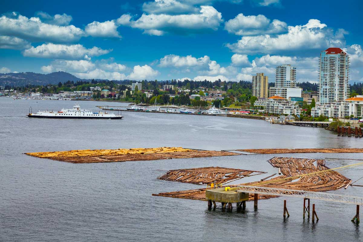 Logs in Harbor of Nanaimo BC Canada on a road trip from Vancouver BC Canada