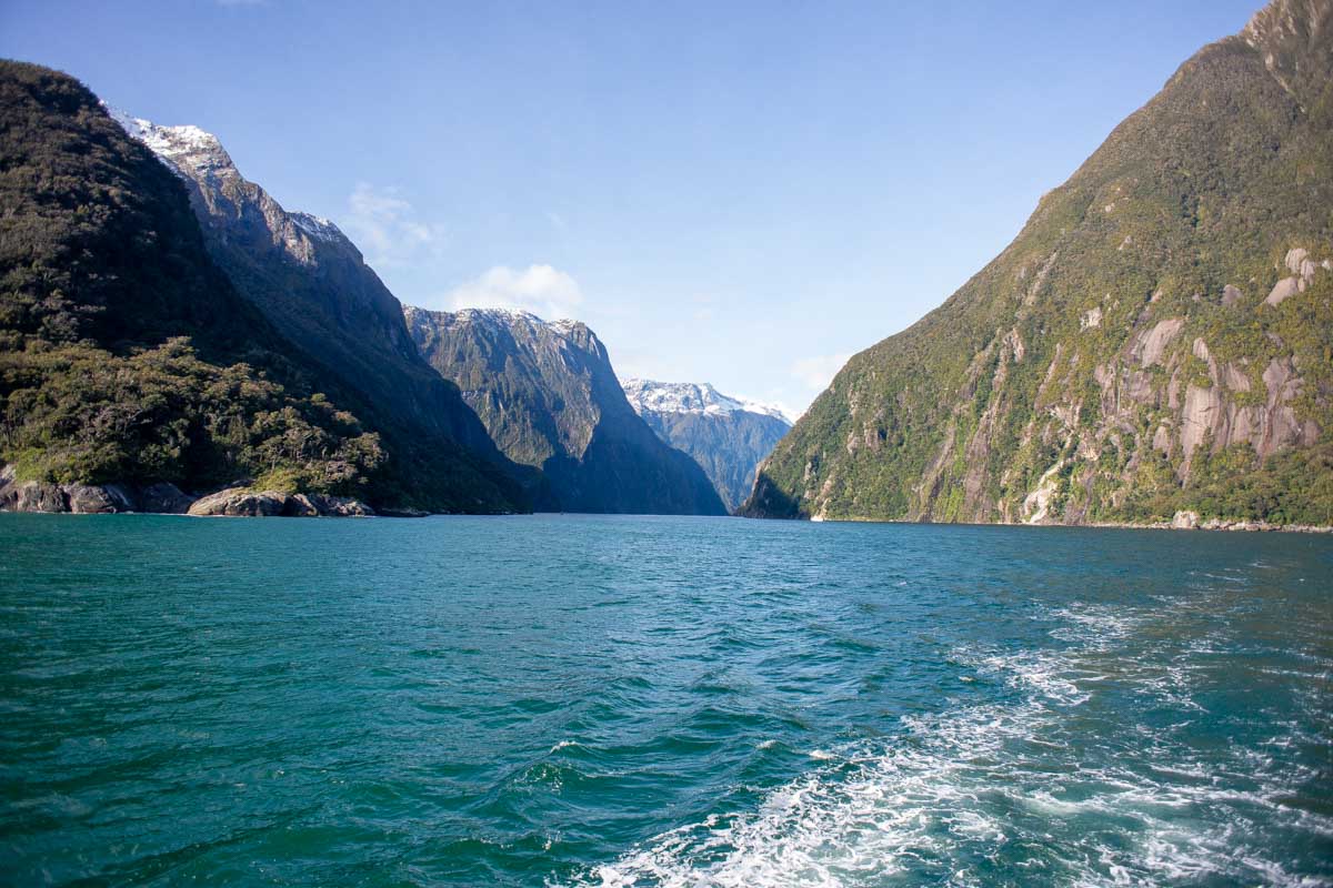 Looking at the milford sound from the back of the boat on the milford sound nature cruise new zealand