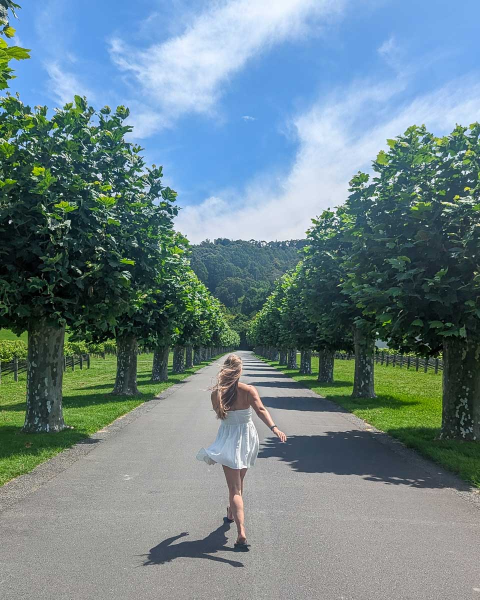 Bailey-at-Mission-Estate-Winery-in-Napier-New-Zealand