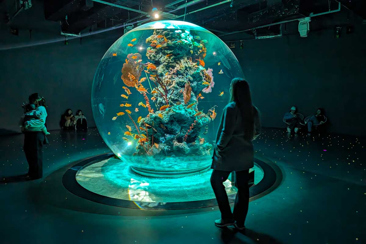 Bailey looks at an art exhibit on a klook tour in Japan