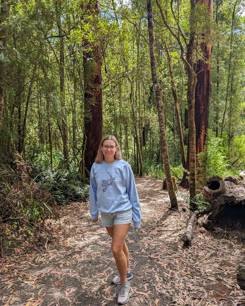 Bailey walks through the forest at Maits Rest Rainforest Walk on the Great Ocean Road