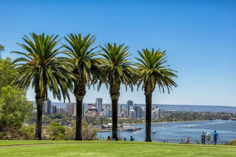 View of Perth Australia from Kings Park in Perth