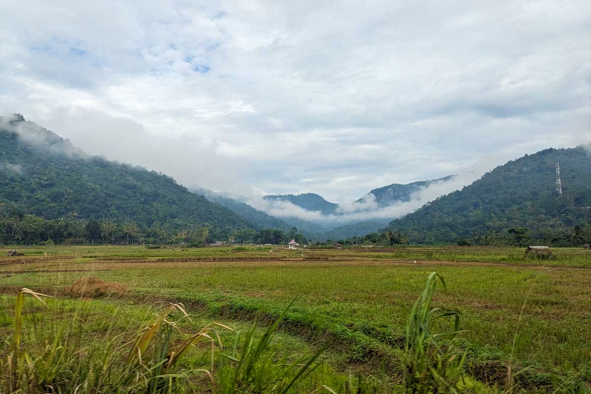 A field on the way to Sigiriya Sri Lanka