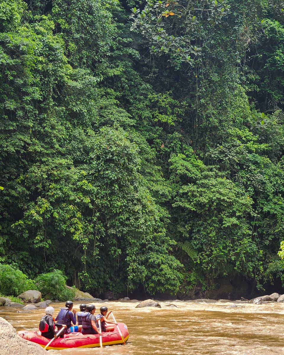 A raft going down the river in the jungle of Bali