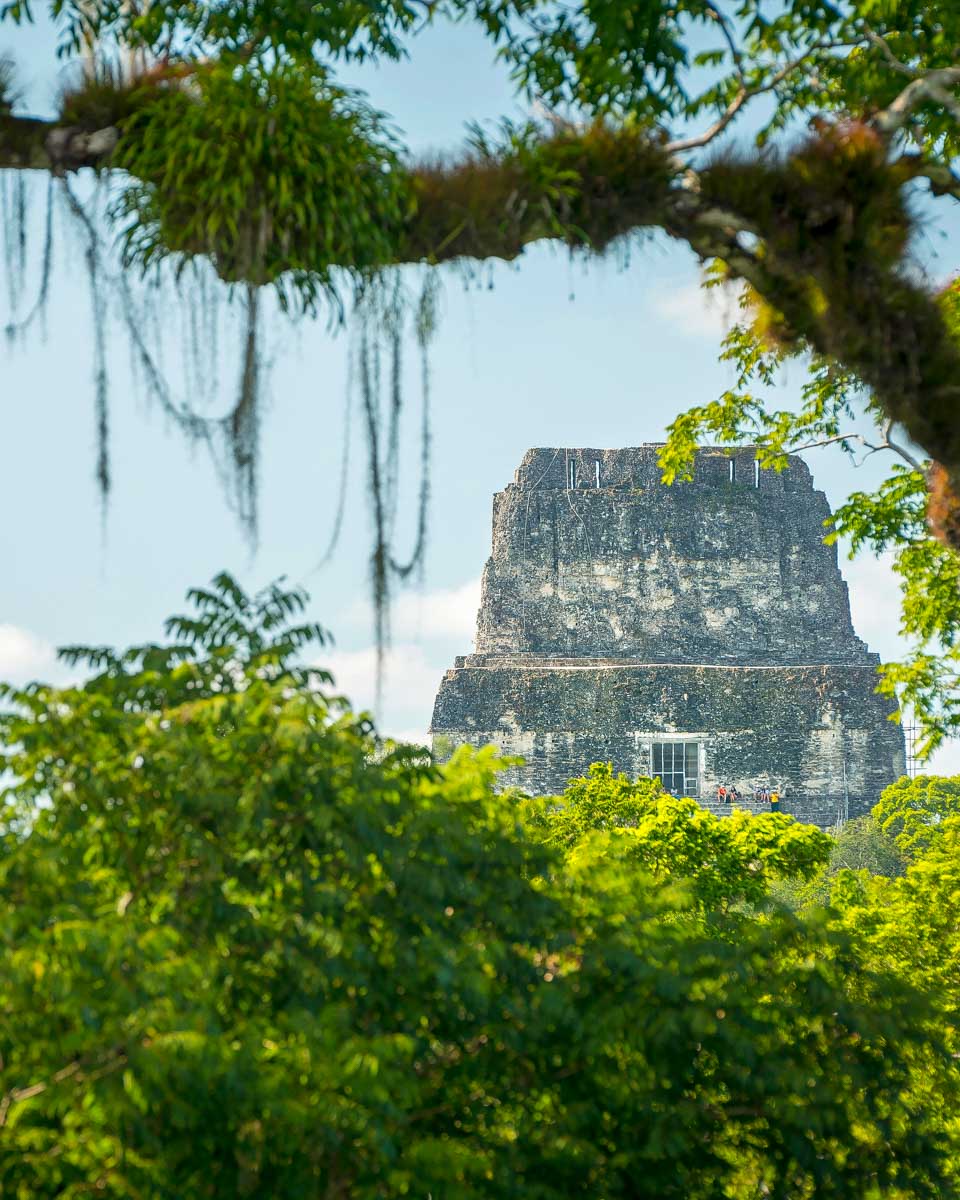 A temple at Tikal Guatemala seen through the trees