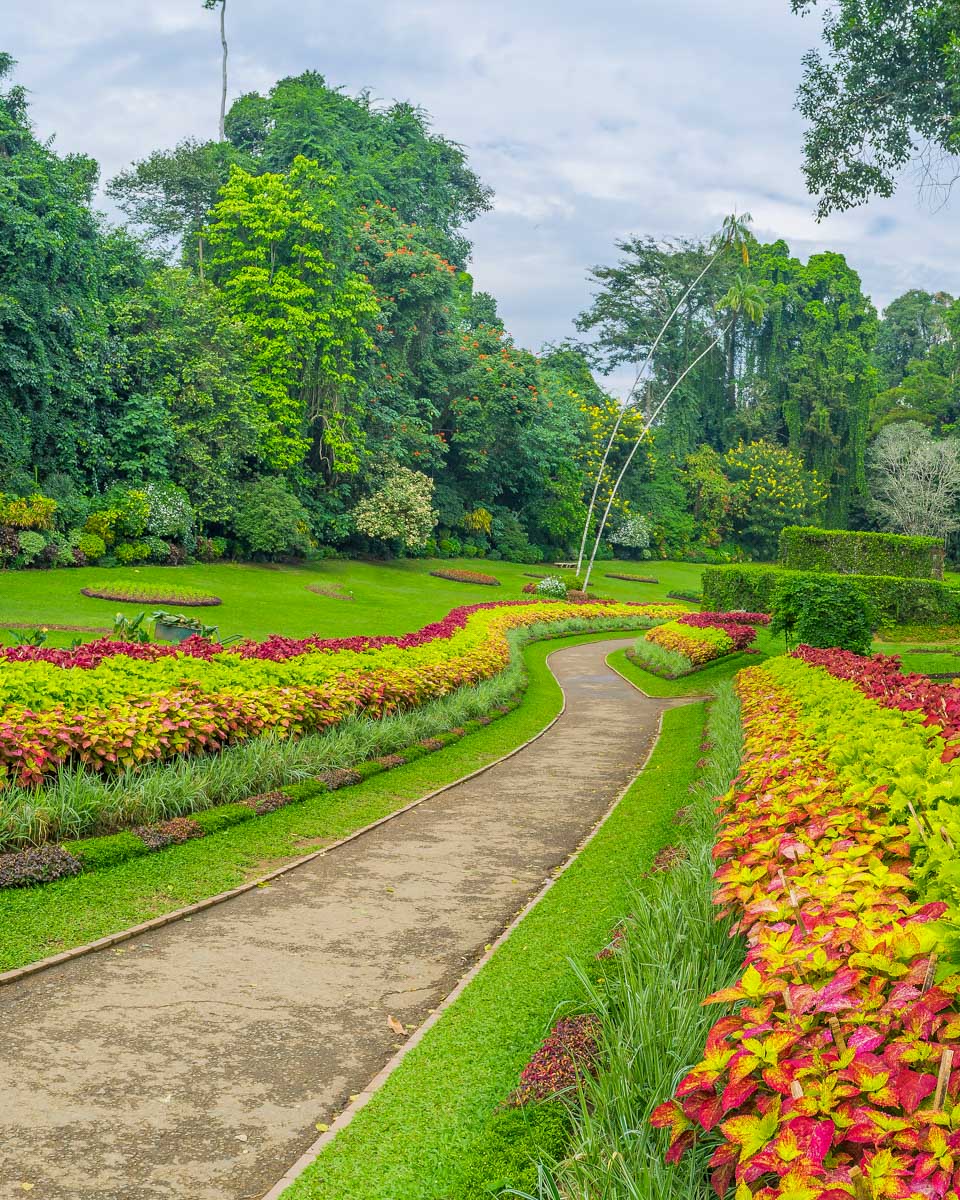 Royal Botanical Gardens Kandy Sri Lanka