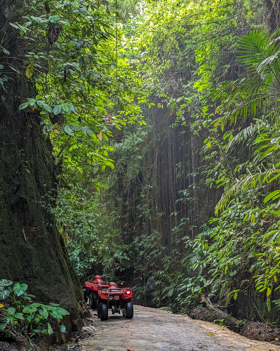 Two ATVs in the jungle on a tour in Bali