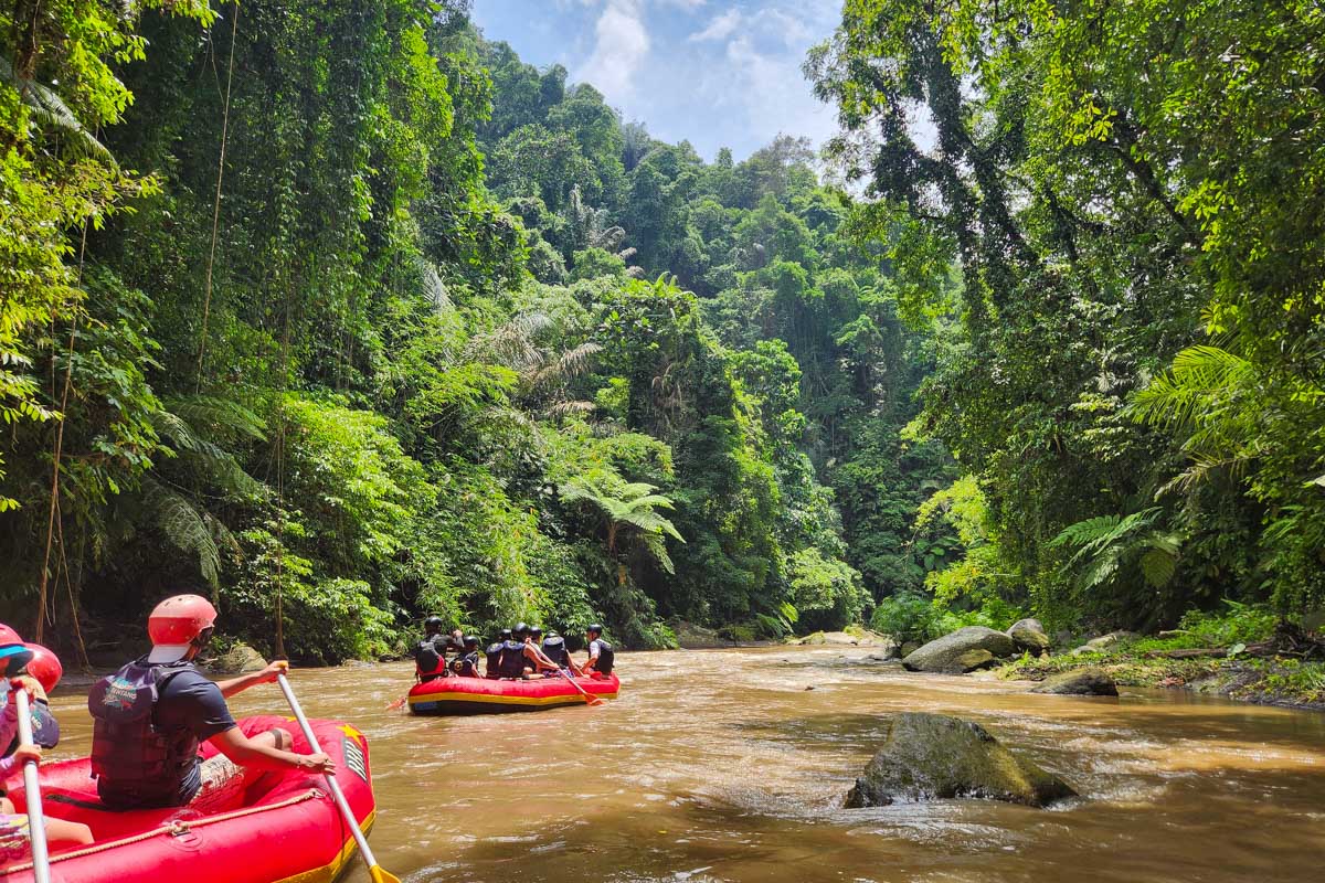 Two rafts in a river in the jungle of Bali