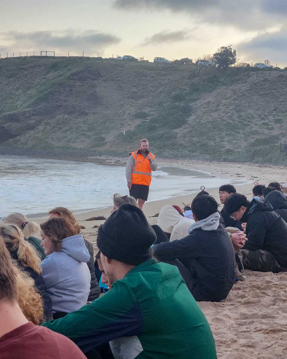 A guide talks to the tour group on the beach on Phillip Island Australia