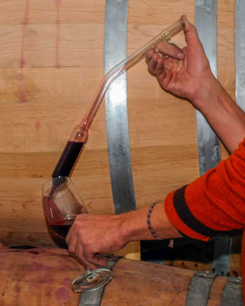 A-man-pulls-wine-straight-from-the-barrel-on-a-wine-tour-near Budapest Hungary