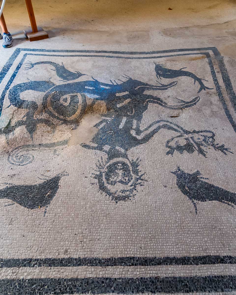 Herculaneum excavation near Naples Italy