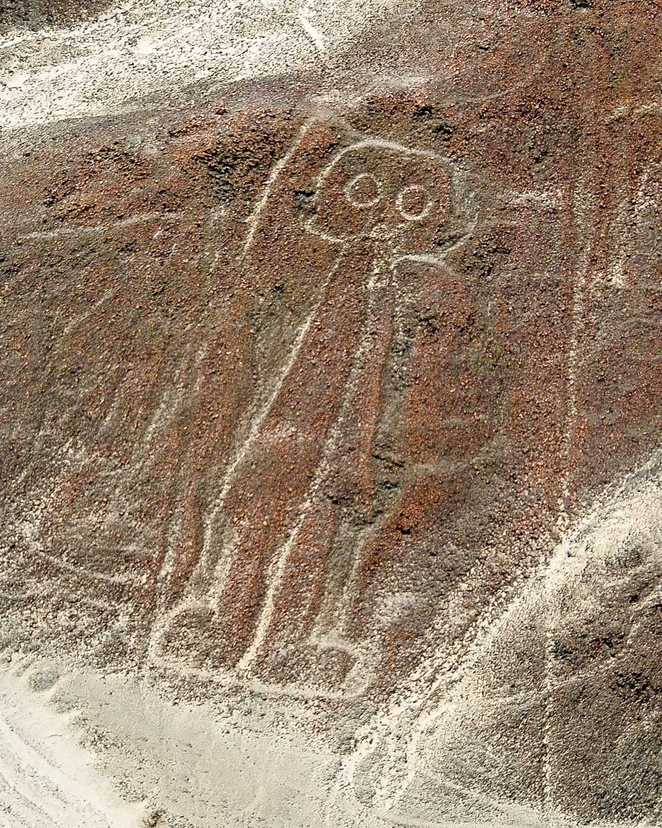 Nazca Lines in Peru seen from plane the astronaut