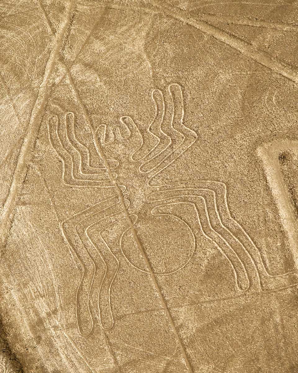 Nazca Lines in Peru seen from plane the spider