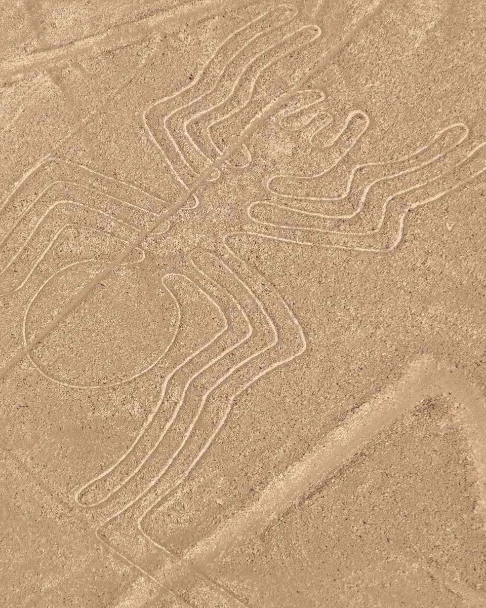 Nazca Lines in Peru seen from plane this is the spider