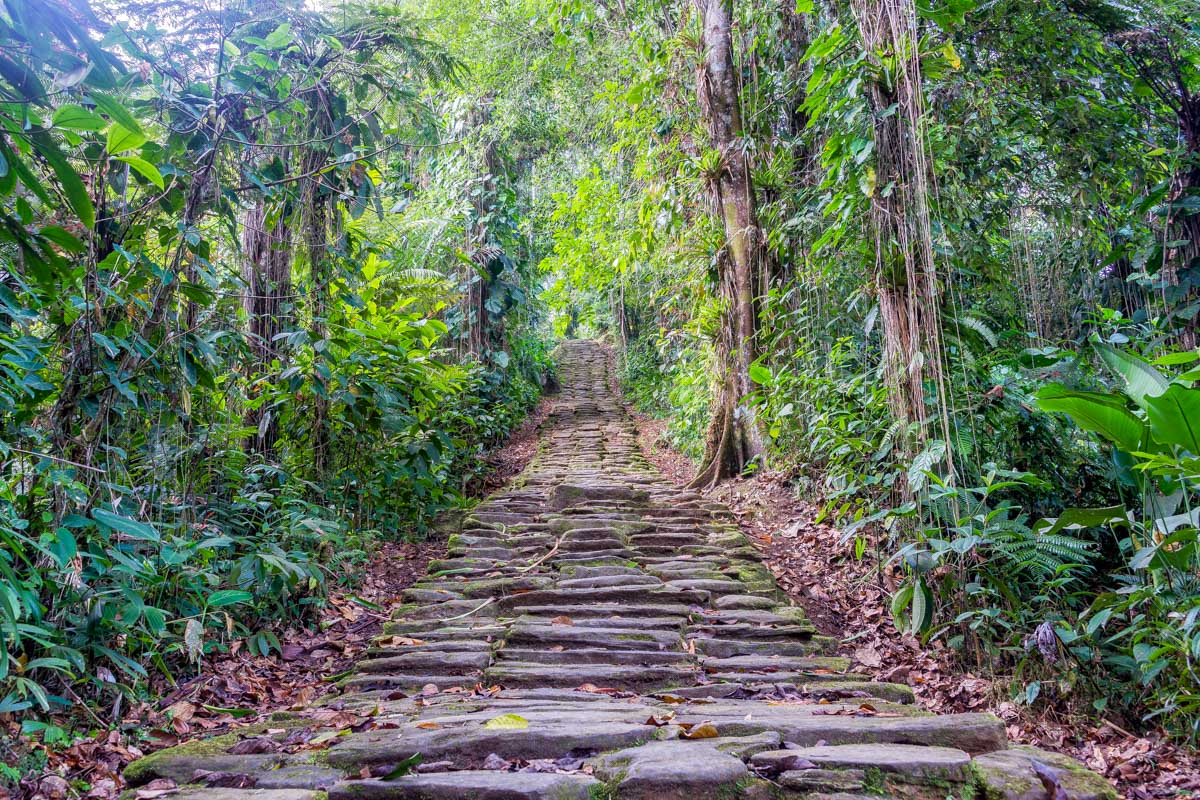 Stairs on the lost city trek near Santa Marta, Colombia