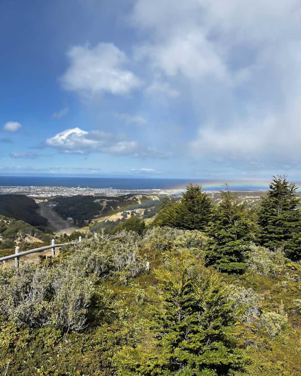 Views inside Magallanes National Reserve