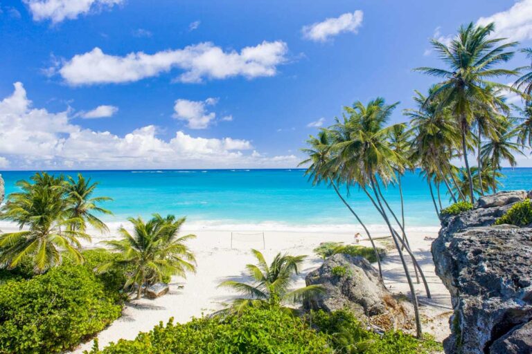 A beach near Barbados