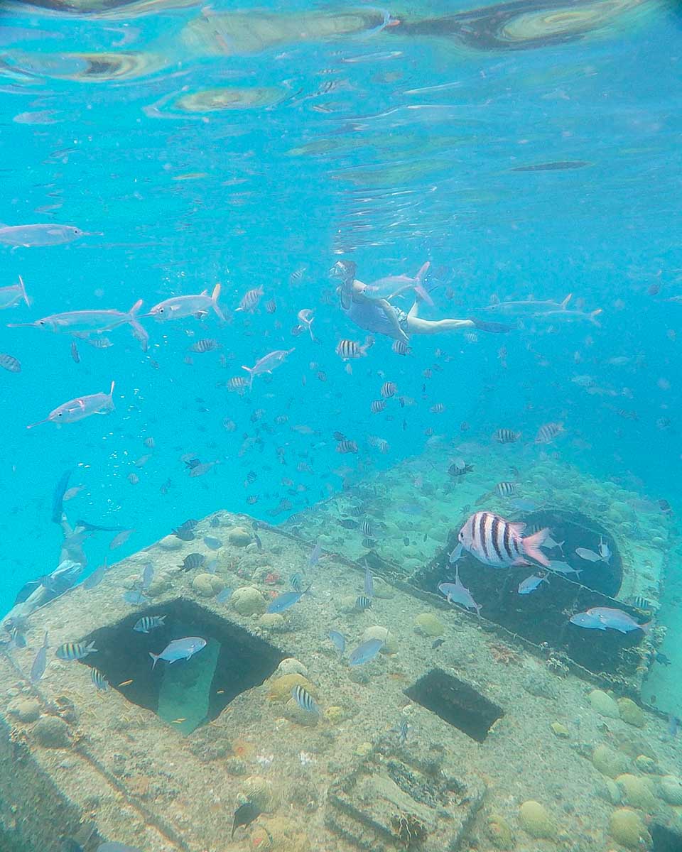 Calabaza Sailing Cruises snorkeling at a shipwreck near Barbados
