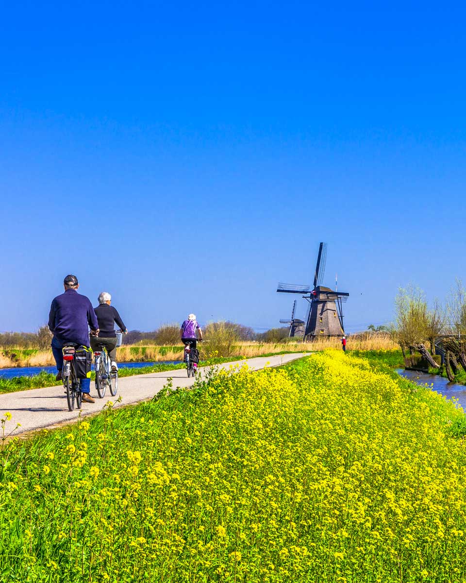 People ride bikes around in the countryside from Amsterdam Netherlands