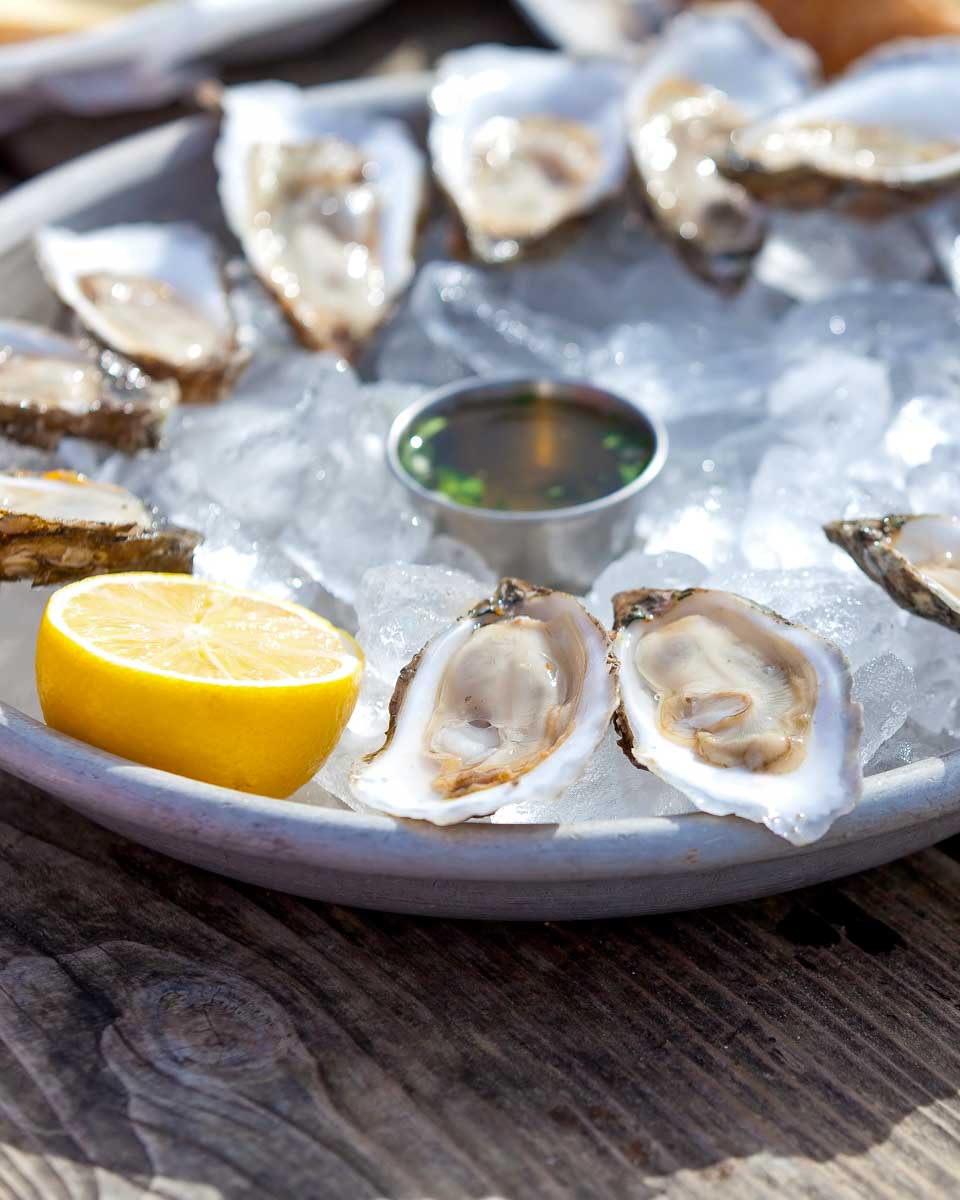 Raw oysters eaten on a food tour in Dublin Ireland