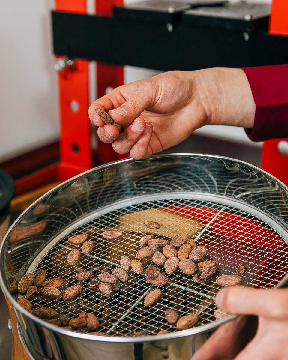The-Chocolatarium-person-holds-coco-beans-on-a-tour-in-Edinburgh-Scotland