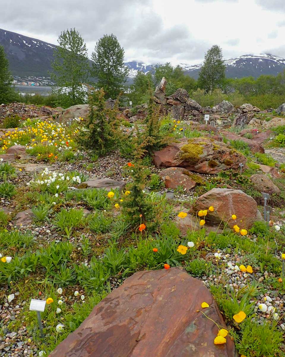 Tromsø Outdoor botanical gardens on an ebike tour in Tromso Norway