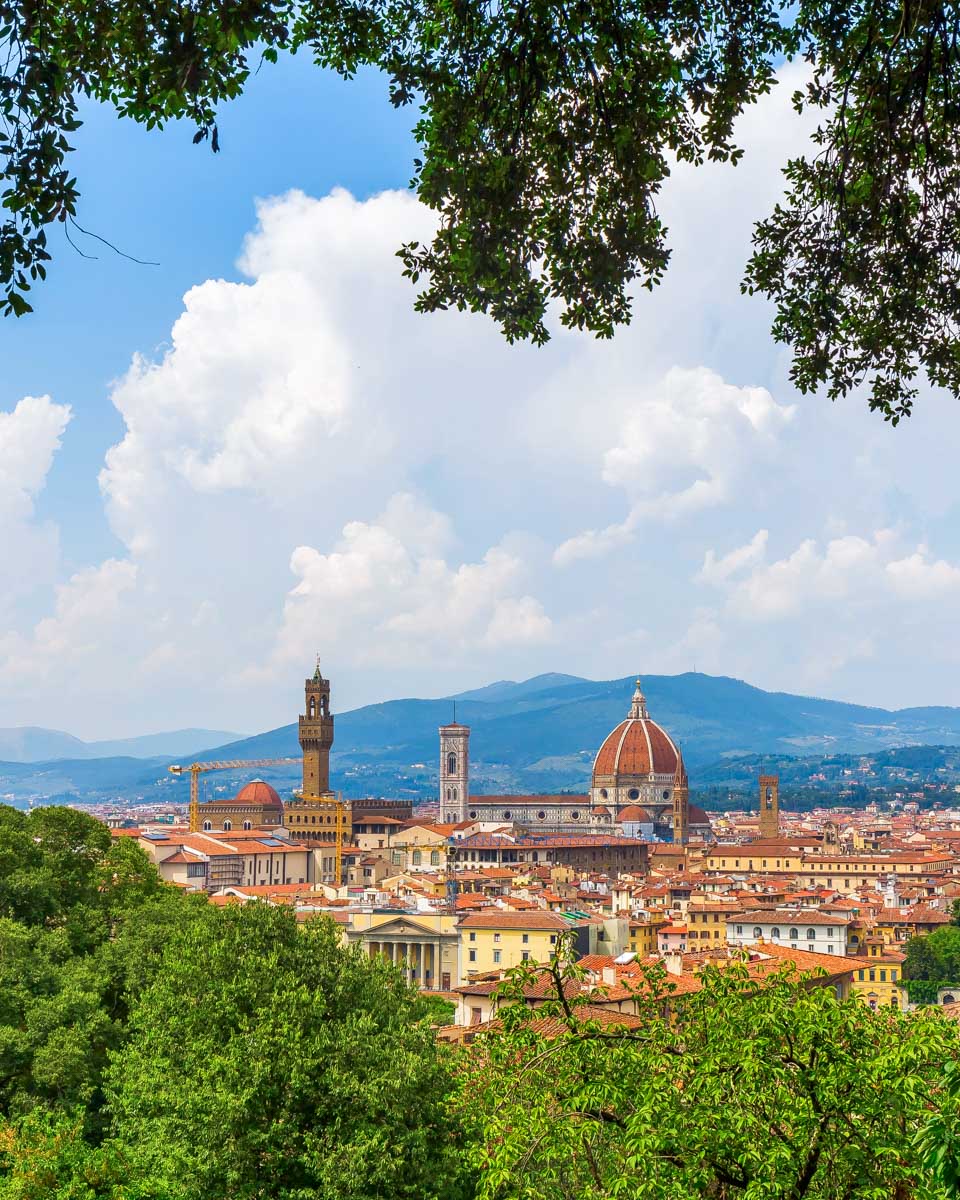 View of Florence from a hill in Italy