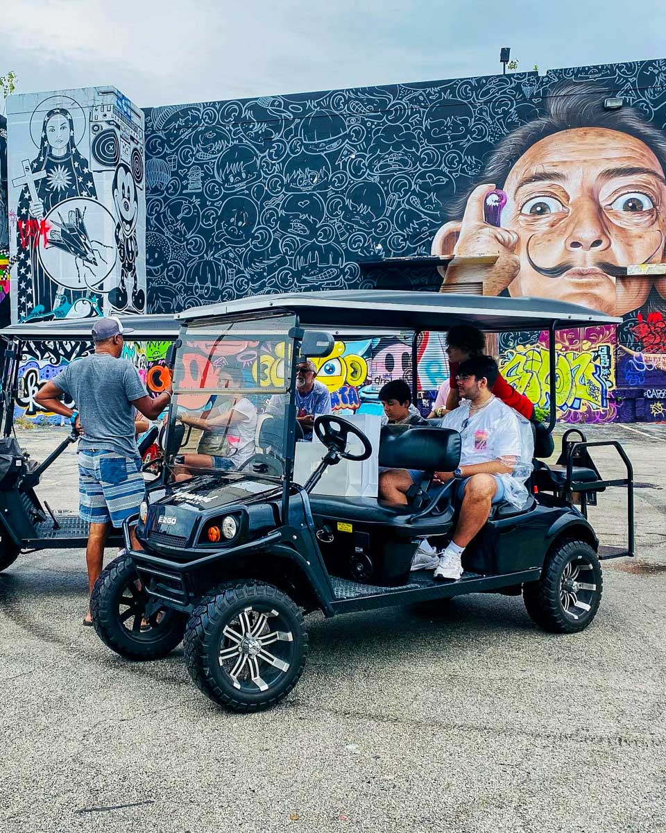 Wynwood Art Walk art on walls in Miami Florida United States