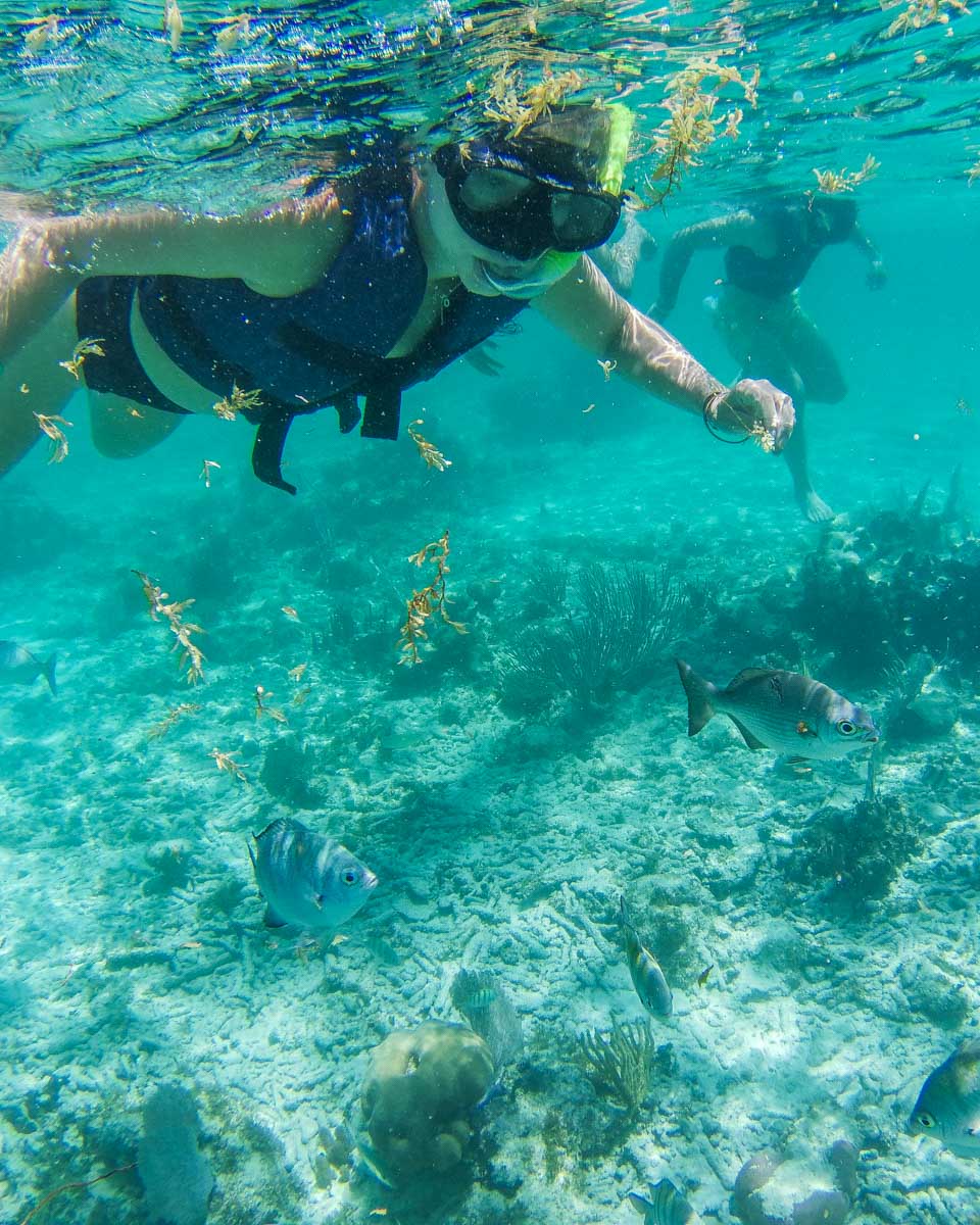 Bailey-snorkeling-on-a-tour-from Krabi Thailand