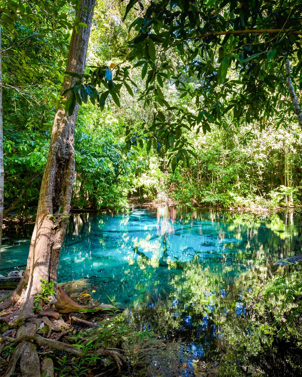Emerald Pool seen on a tour in Krabi Thailand