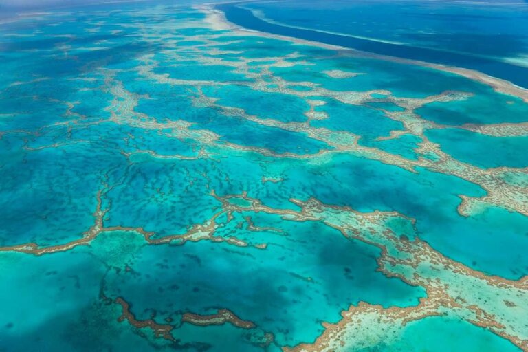 Great Barrier Reef near Cairns Australia