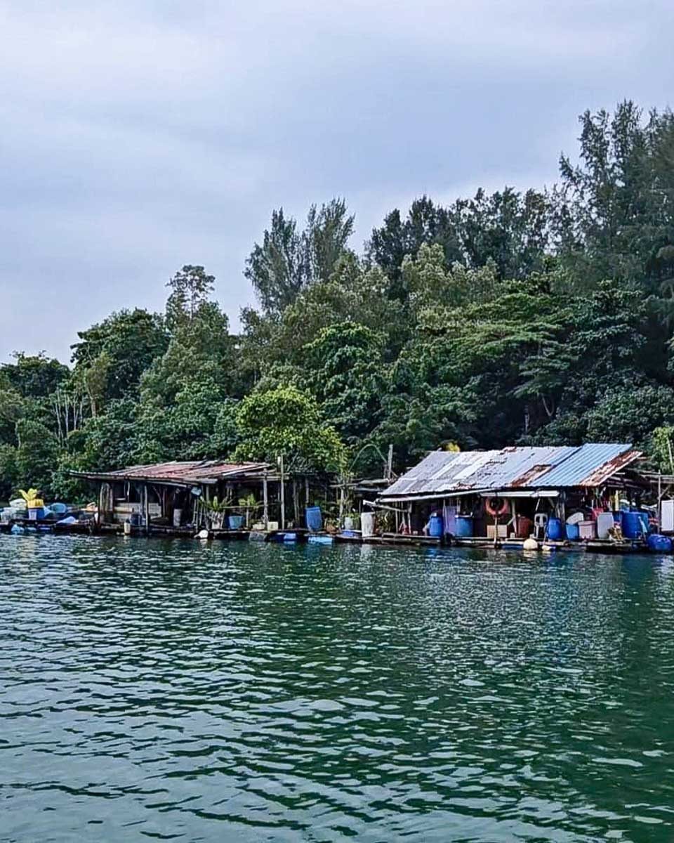 Let's Go Tour Singapore Kelong Fish Farm seen on a boat tour from Singapore