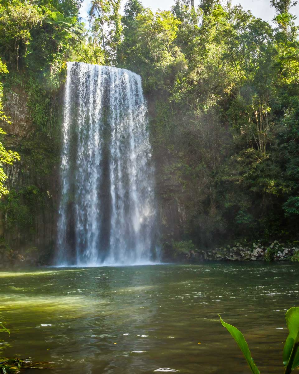 Millaa Millaa Falls on a tour from Cairns Australia