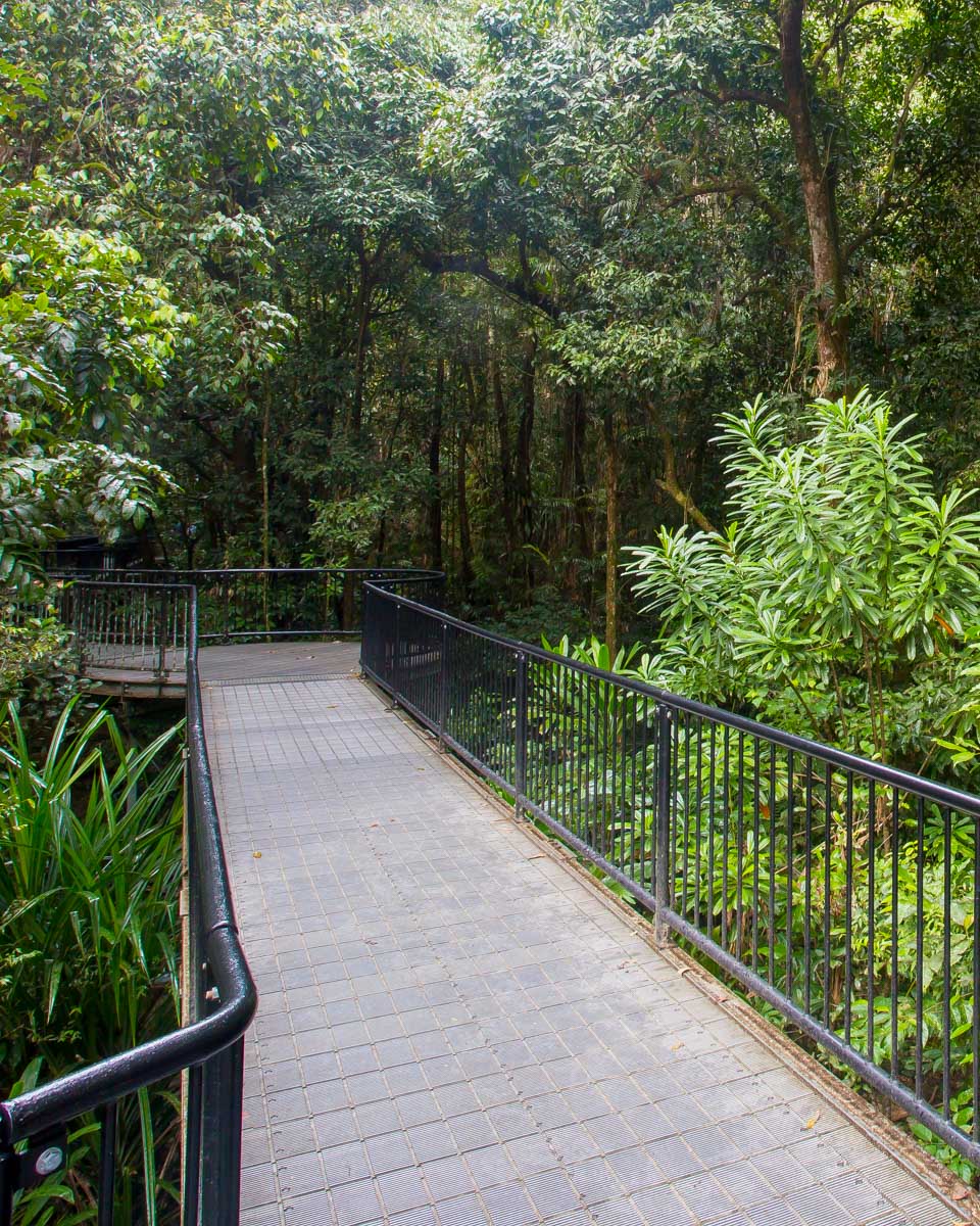 Mossman Gorge on a tour from Cairns Australia