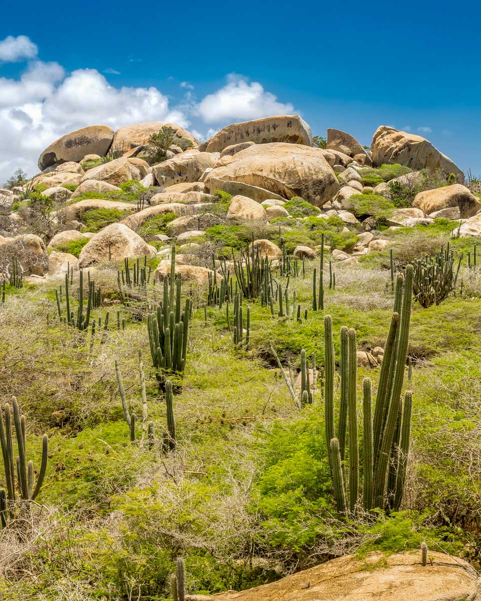 The Ayo Rock Formation seen on a tour in Aruba