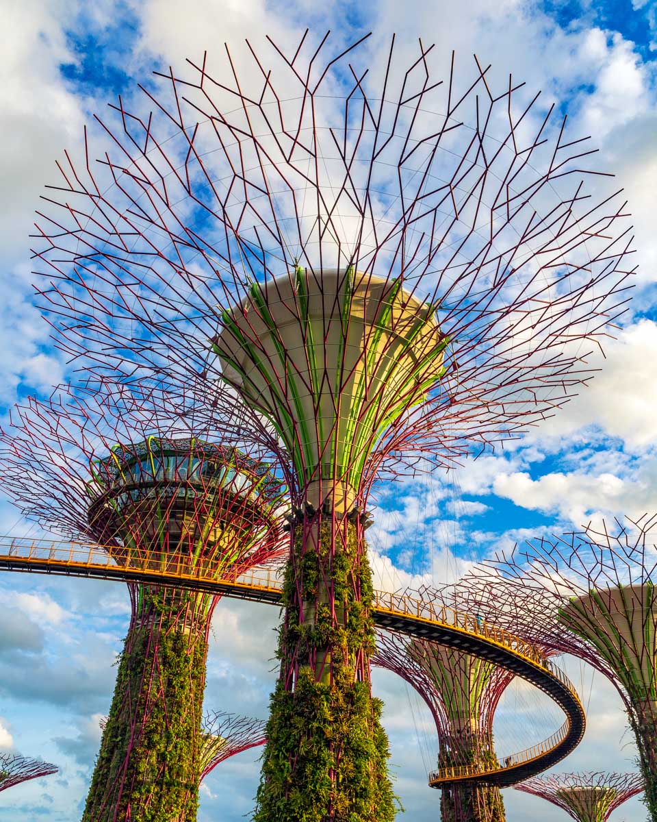 The Gardens seen on a segway tour in Singapore